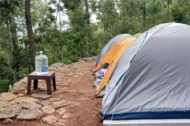 Tesntay in Tipperary Estate