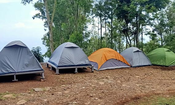 Glamping in Tipperary Estate