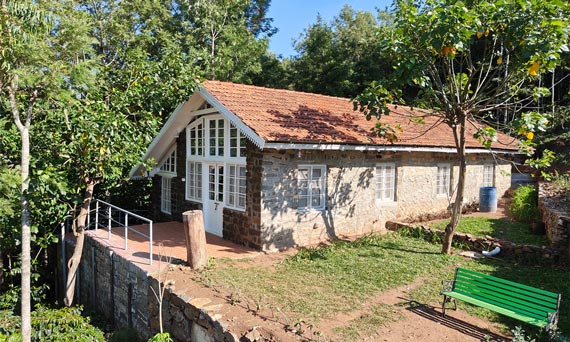Tipperary Wilderness Cabin