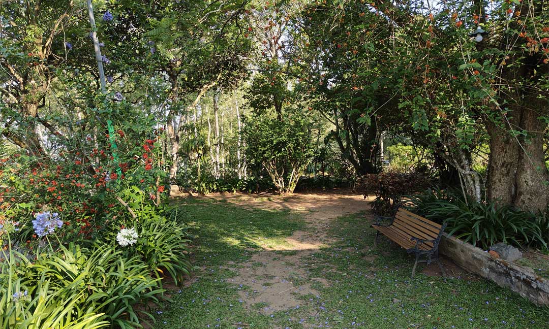 Tipperary Cloud Nine - Shared Area With Bungalow Guests