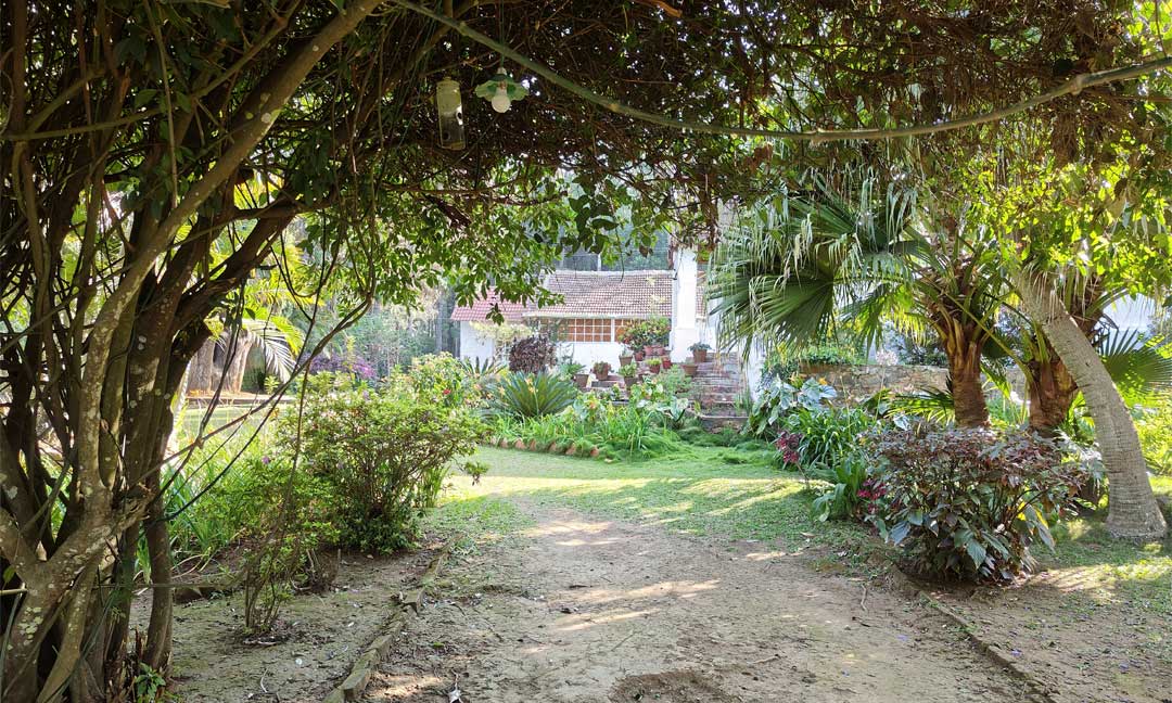 Tipperary Cloud Nine - Shared Area With Bungalow Guests