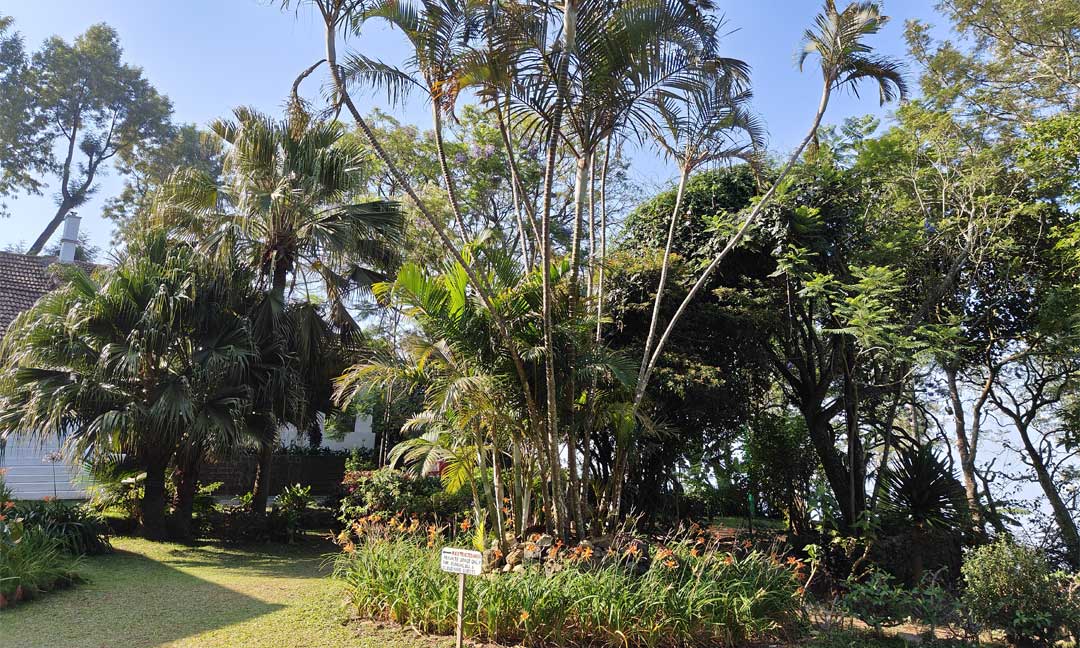 Tipperary Cloud Nine - Shared Area With Bungalow Guests