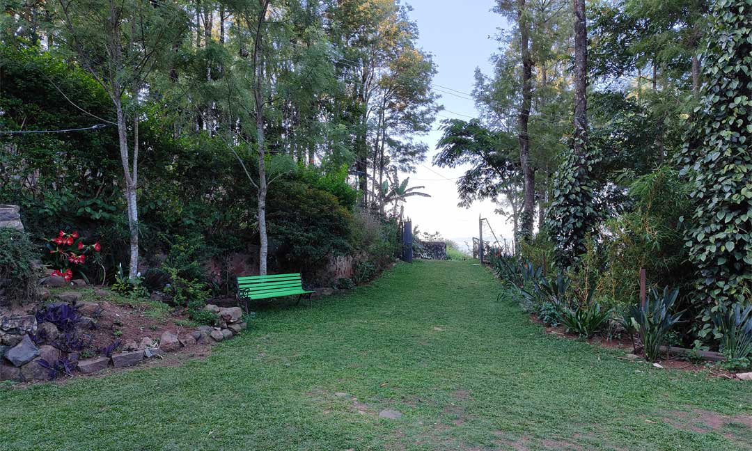 Tipperary Cottage - Private Lawn Space