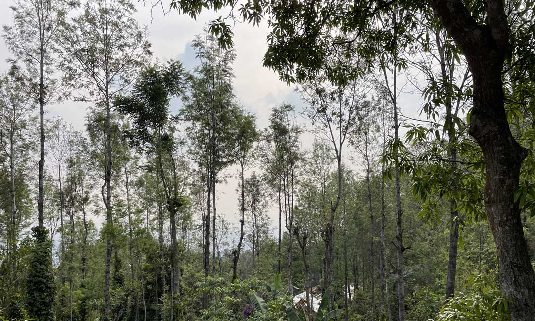 Tipperary Cottage - Dining Area