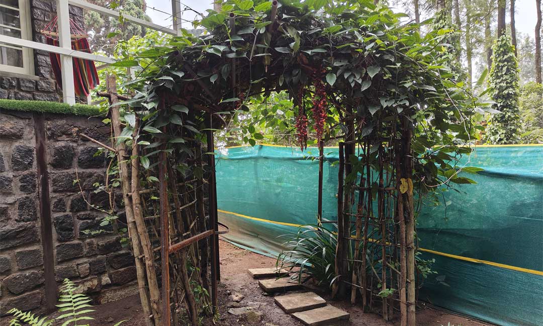 Tipperary Garden Villa - Garden