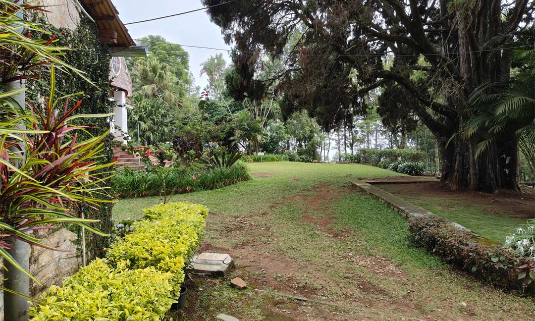 Tipperary Garden Villa - Common Space