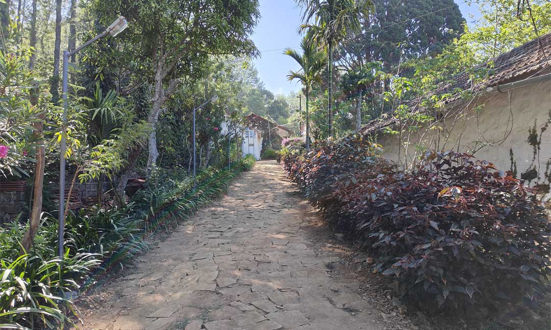 Tipperary Garden Villa - Common Space