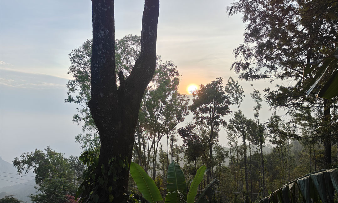 Tipperary Sunset Cabin - Sunset View
