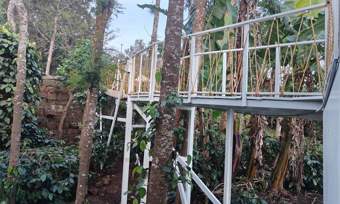 Tipperary Sunset Cabin - Suspension Bridge