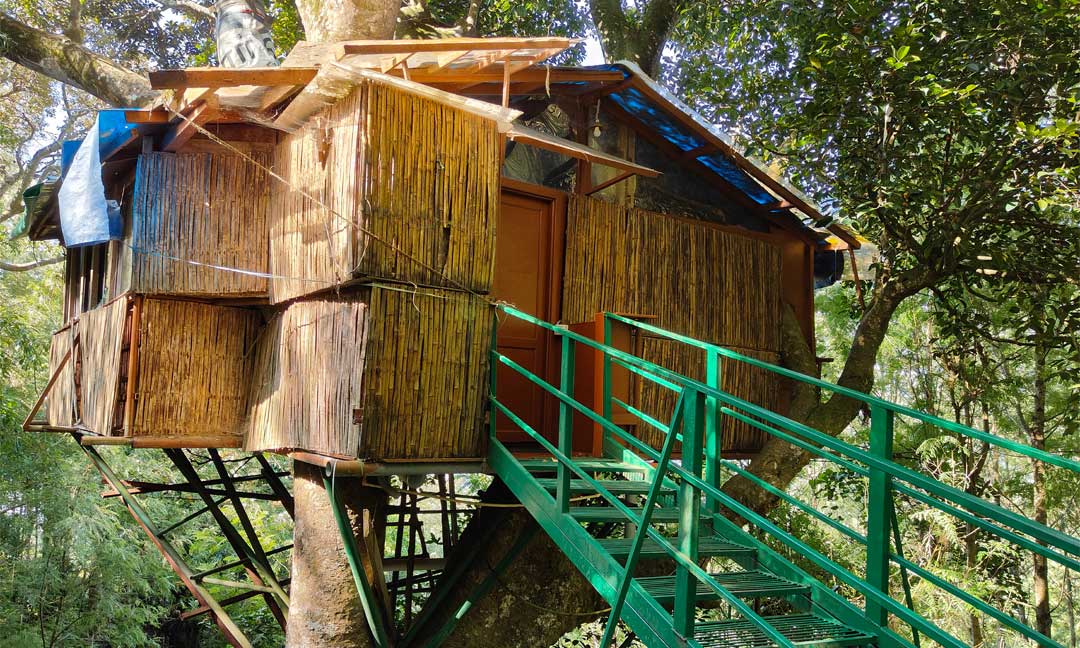 Tipperary Treehouse - Exterior View