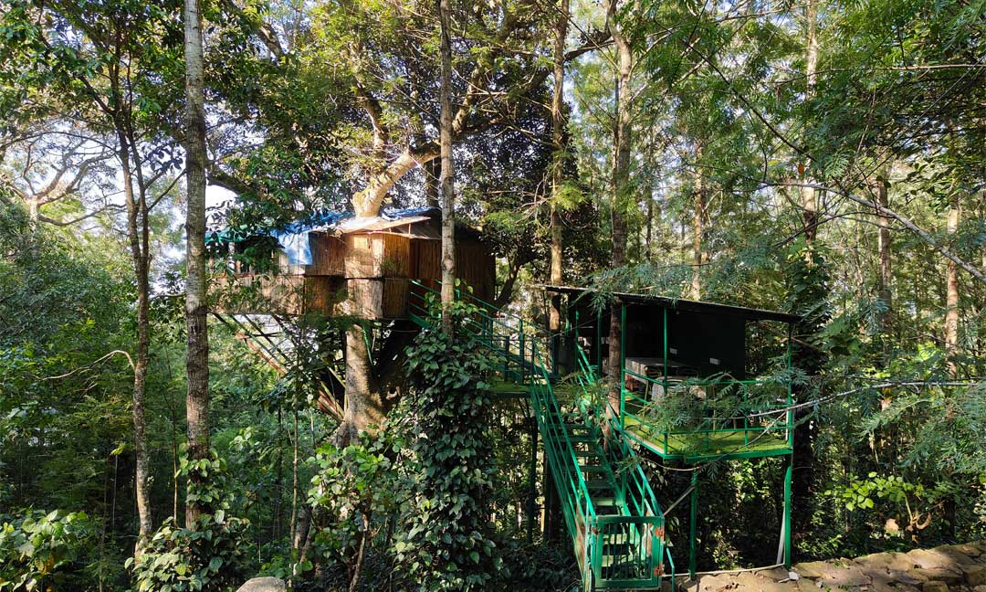 Tipperary Treehouse - Exterior View