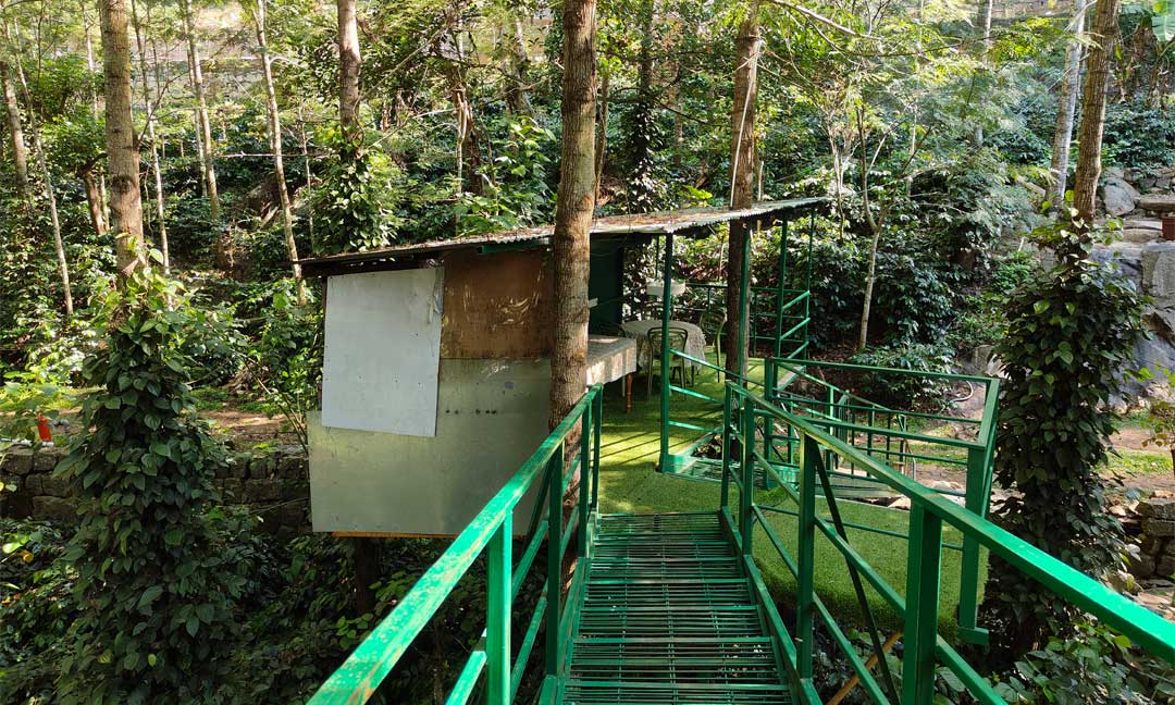 Tipperary Treehouse - View from Treehouse