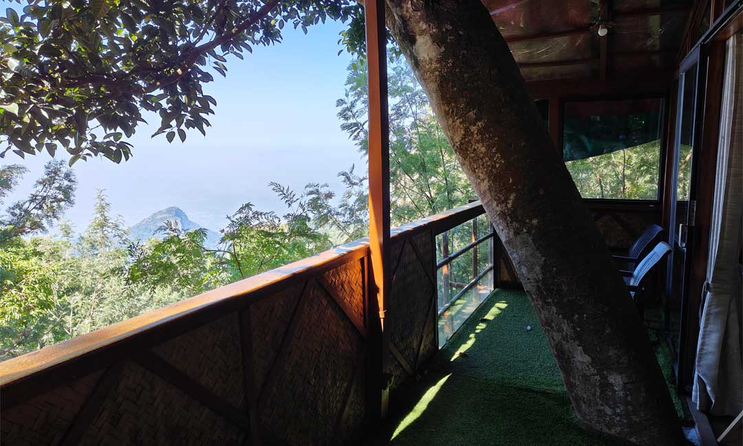 Tipperary Treehouse - Balcony with Valley View