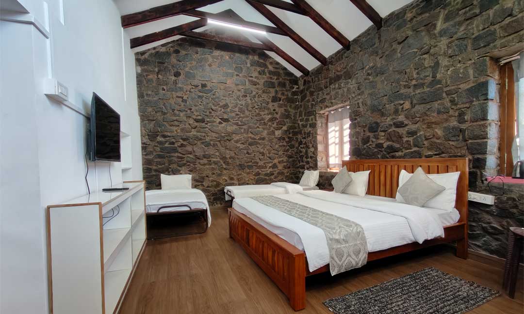 Tipperary Wilderness Cabin - Room View