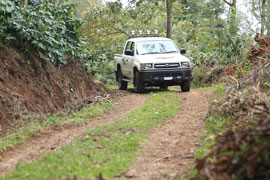 Hilux passing through plantation