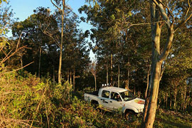 adventure in Yercaud