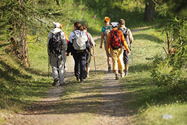 Guided trek