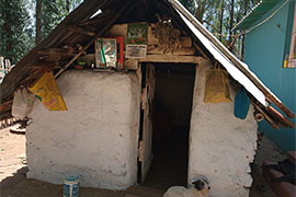 Villagers House